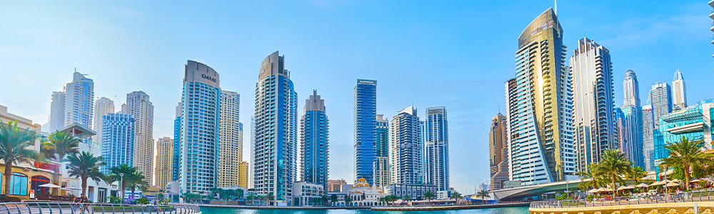 歯歯科英語オンラインセミナー